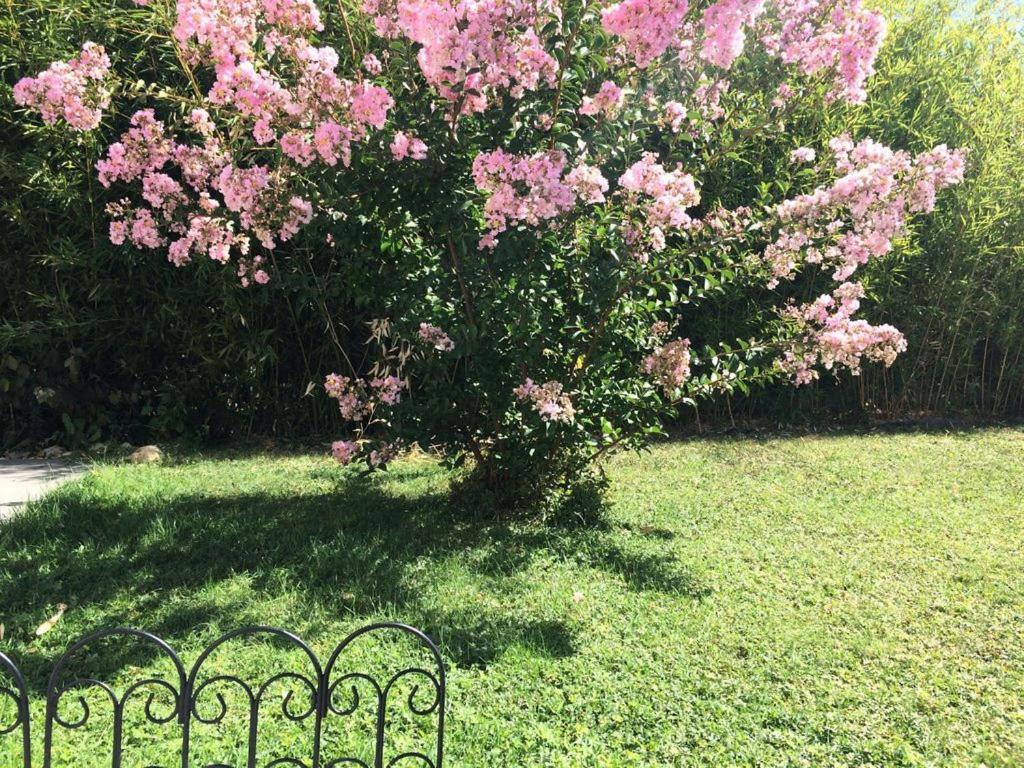 Cottage La Villa Bolero サン・シル・シュル・ロワール エクステリア 写真